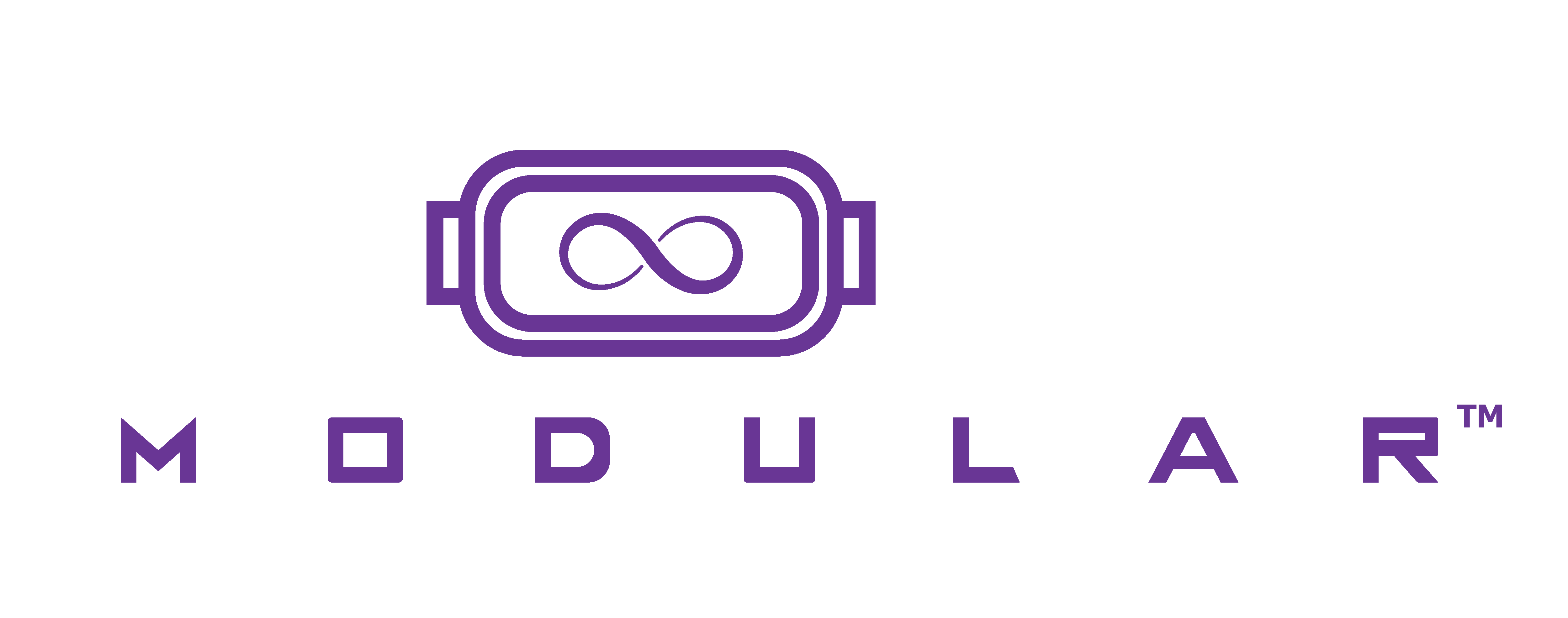 holomoular logo